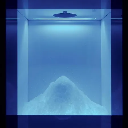 Belvedere Ранко